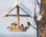 Vogelfutter Vier Jahreszeiten unverzichtbares Streufutter Wildvogelfutter Premium 25kg